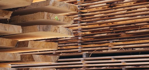 Picking The Best Decking Material To Pitch a Tent On