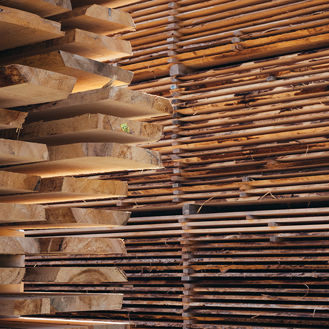 Picking The Best Decking Material To Pitch a Tent On