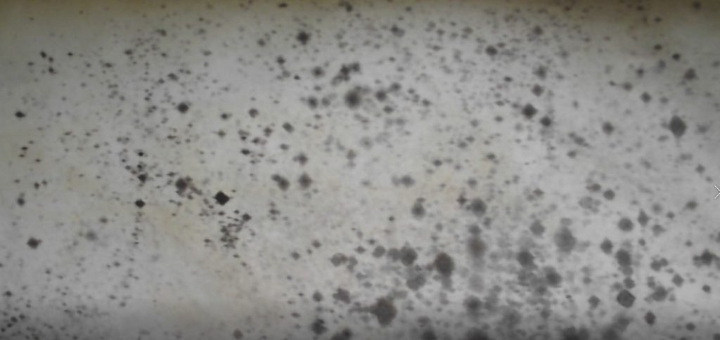 Removing Mildew From My Tent - Pressure Washer