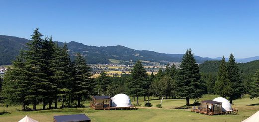 Bell Tents For Glamping