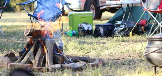 pegs for camping